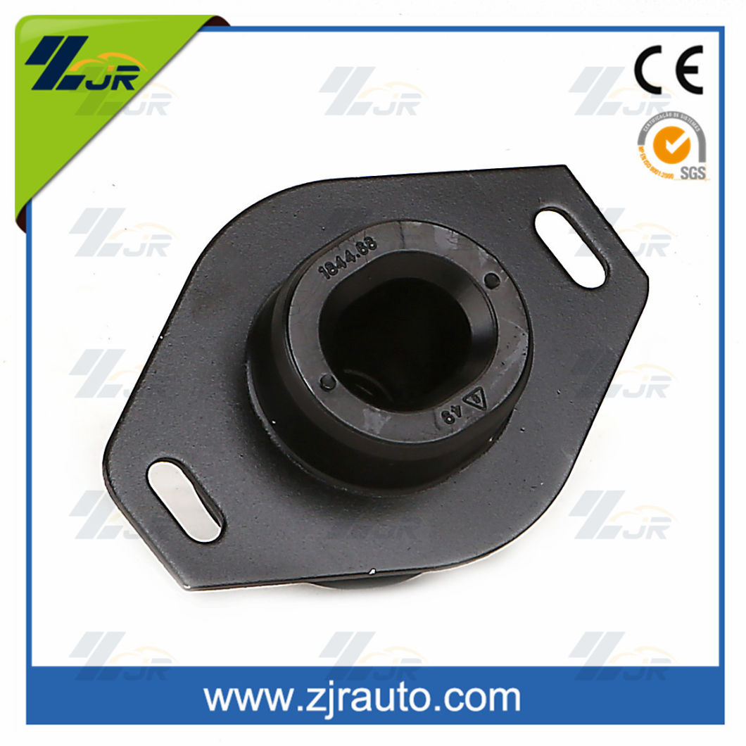 Auto Spare Parts Rubber Engine Mount for Peugeot 1844.68